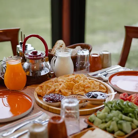 Ujevara E Vogel ثيث