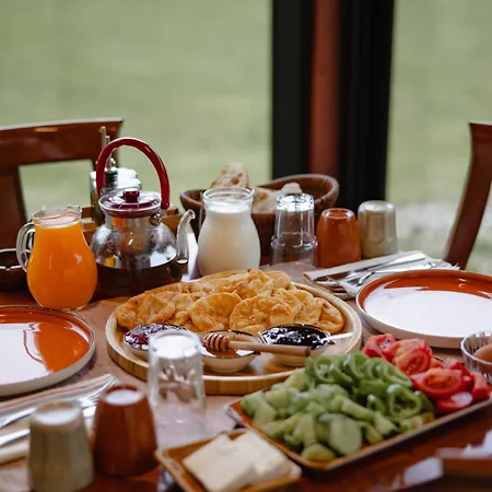 فيلة Ujevara E Vogel